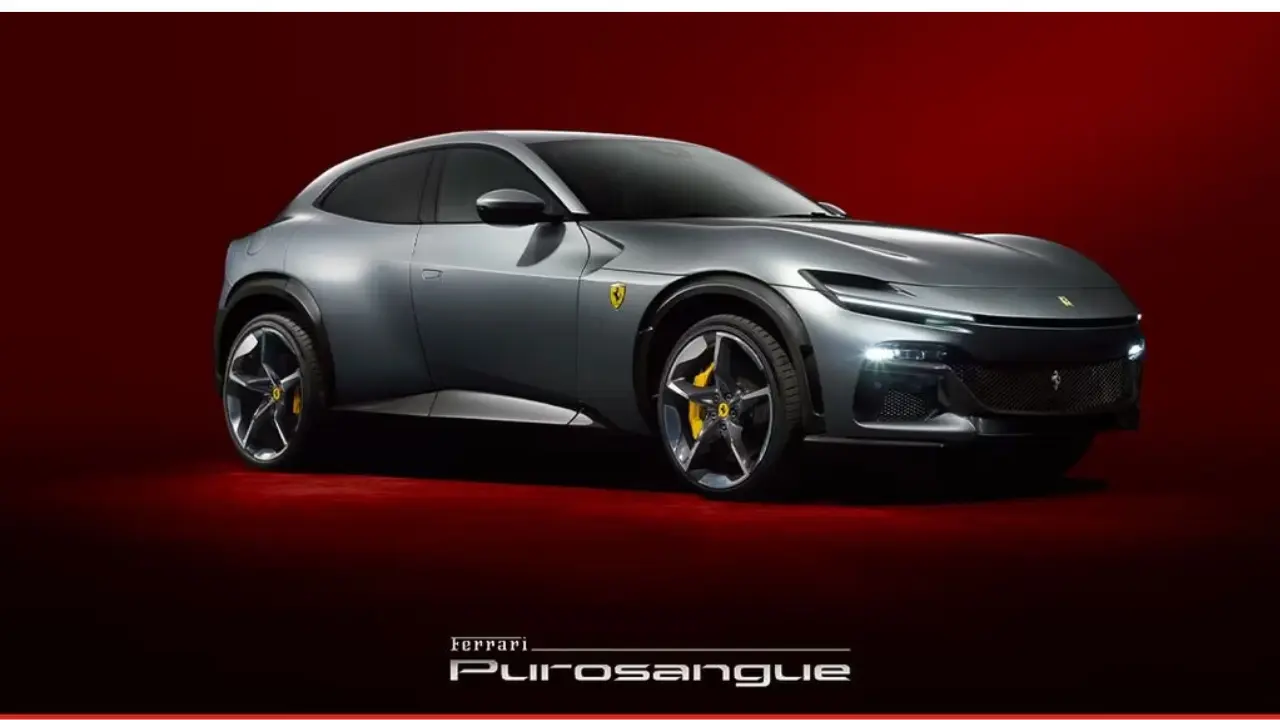 ferrari purosangue for sale