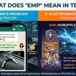 EMP Meaning in Text
