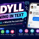 WDYLL Meaning in Text