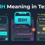 BIH Meaning in Text