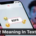 BSFR Meaning in Text