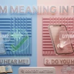 DYHM Meaning in Text
