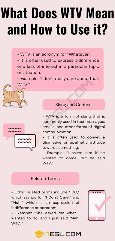 WTV Meaning in Text