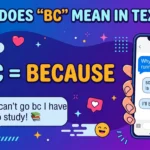 BC Meaning In Text