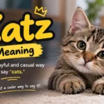 Katz Meaning