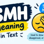 SMH Meaning
